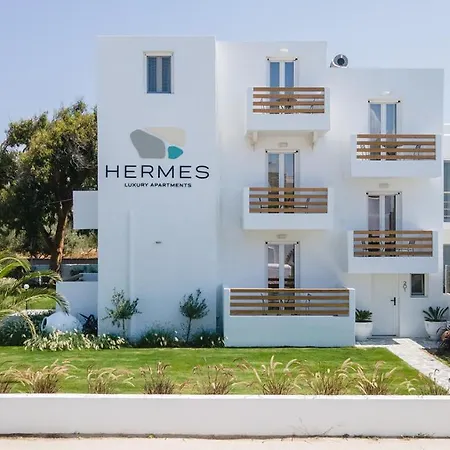 Hermes Luxury *