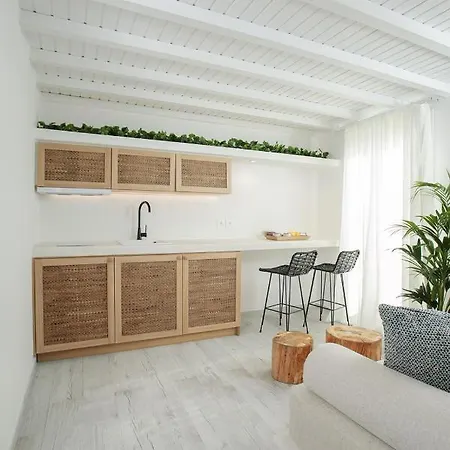 Hermes Luxury Apartment Naxos City